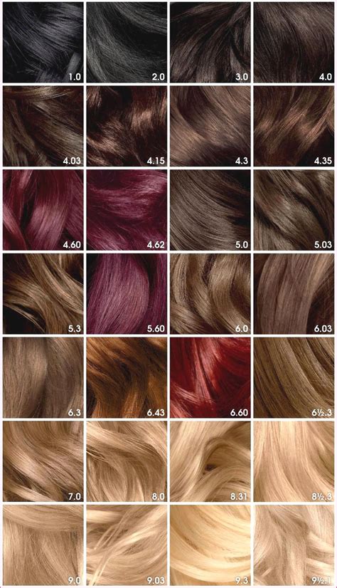 garnier hair dye colour chart|garnier color naturals shades chart.